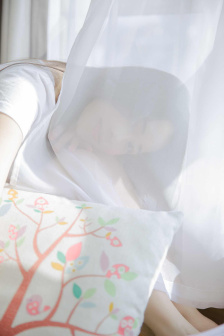 后宫电视剧全集播放